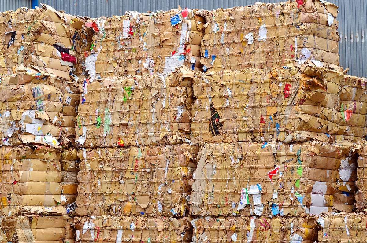 廢紙市(shi)場綜述：局部反彈(dàn)與價格波動